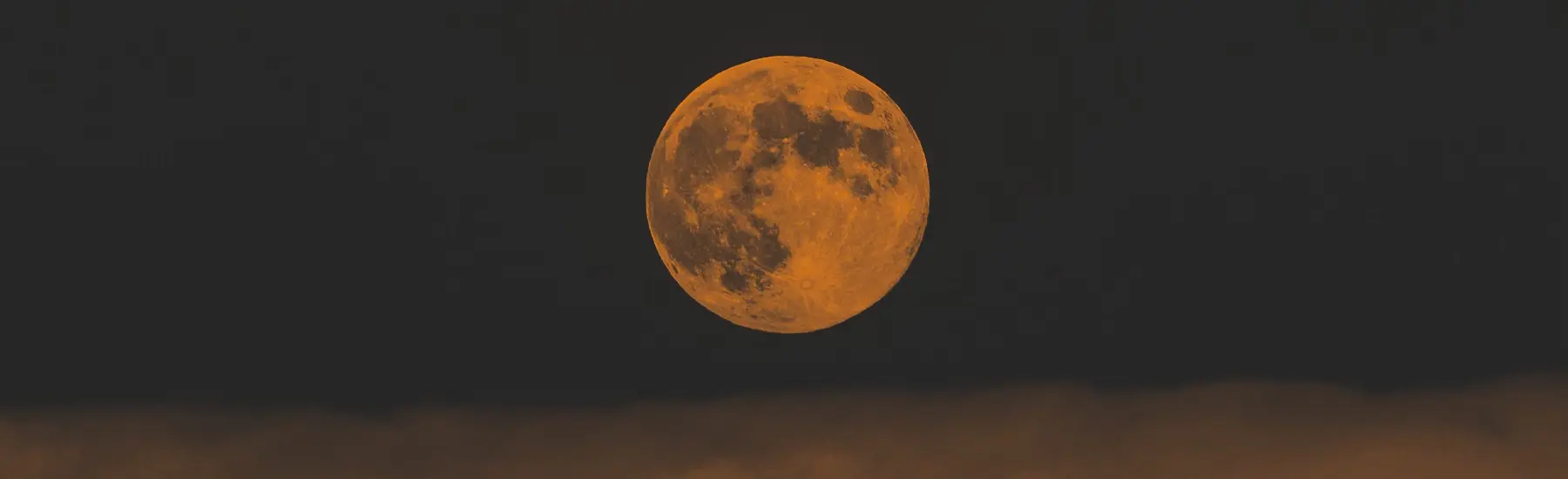MOON DAYS