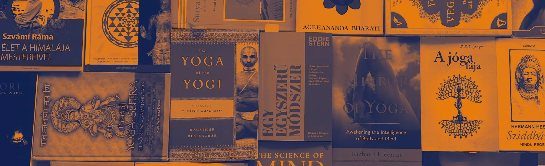 RECOMMENDED READINGS